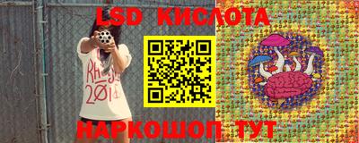 ПСИЛОЦИБИНОВЫЕ ГРИБЫ Новозыбков