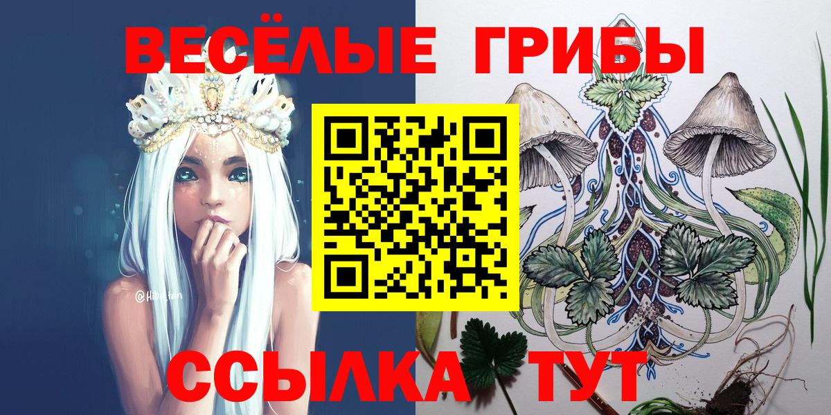 Псилоцибиновые грибы GOLDEN TEACHER Истра